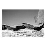 "Golvend" • door Rudi Calluy • 120 x 80 • Fotografie