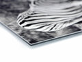 "Hessels" • door Jeroen Rosseels • 50 x 50  • Grafisch ontwerp op alu di-bond