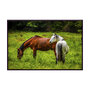 "Wild Horses" • door Jeroen Rosseels • 100 x 70 • Fotografie op gerecycleerde jeans